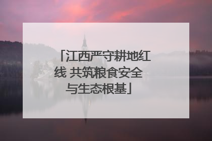 江西严守耕地红线 共筑粮食安全与生态根基