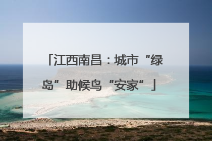 江西南昌：城市“绿岛”助候鸟“安家”
