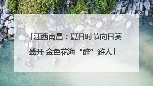 江西南昌：夏日时节向日葵盛开 金色花海“醉”游人