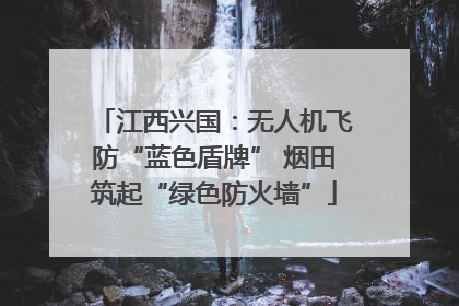 江西兴国：无人机飞防“蓝色盾牌” 烟田筑起“绿色防火墙”