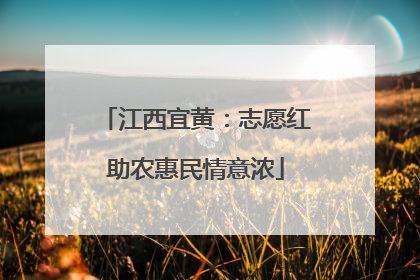 江西宜黄：志愿红助农惠民情意浓