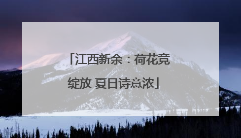 江西新余：荷花竞绽放 夏日诗意浓