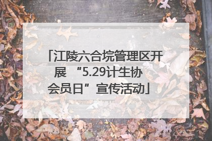 江陵六合垸管理区开展 “5.29计生协会员日”宣传活动