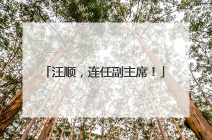 汪顺，连任副主席！