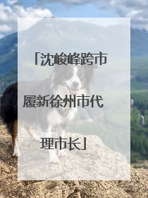 沈峻峰跨市履新徐州市代理市长