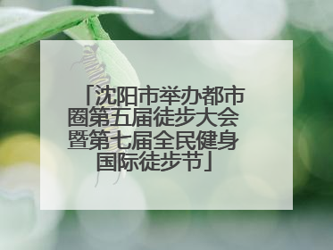 沈阳市举办都市圈第五届徒步大会暨第七届全民健身国际徒步节