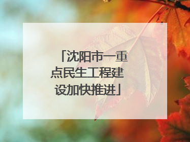 沈阳市一重点民生工程建设加快推进