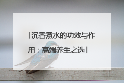 沉香煮水的功效与作用：高端养生之选