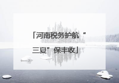 河南税务护航“三夏”保丰收