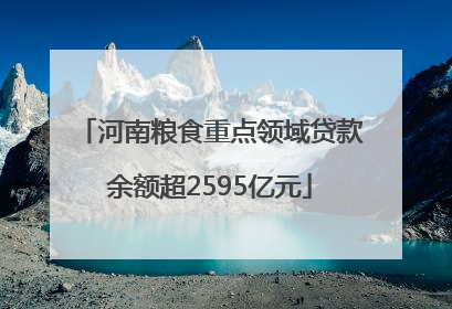 河南粮食重点领域贷款余额超2595亿元