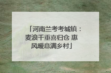 河南兰考考城镇：麦浪千重喜归仓 惠风暖意满乡村
