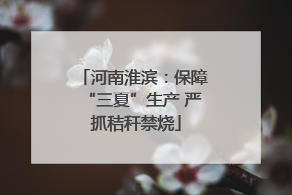 河南淮滨：保障“三夏”生产 严抓秸秆禁烧