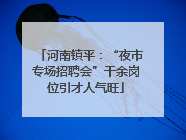 河南镇平：“夜市专场招聘会”千余岗位引才人气旺