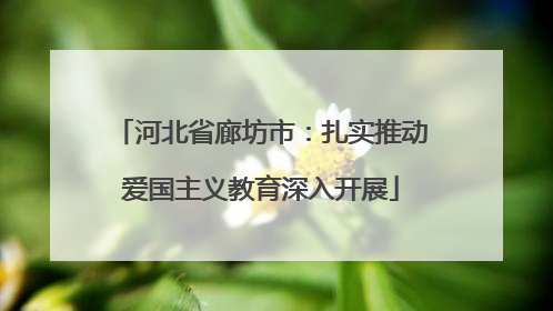 河北省廊坊市：扎实推动爱国主义教育深入开展