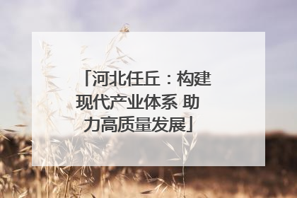 河北任丘：构建现代产业体系 助力高质量发展
