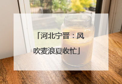 河北宁晋：风吹麦浪夏收忙