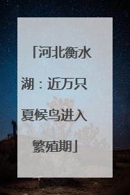 河北衡水湖：近万只夏候鸟进入繁殖期