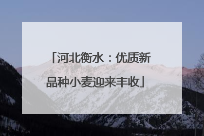 河北衡水：优质新品种小麦迎来丰收