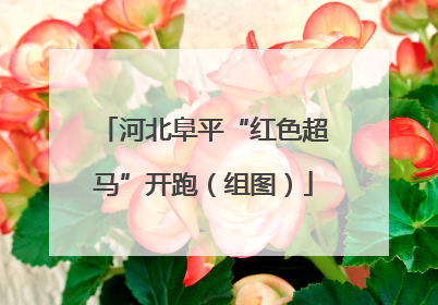 河北阜平“红色超马”开跑（组图）