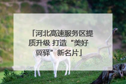 河北高速服务区提质升级 打造“美好冀驿”新名片