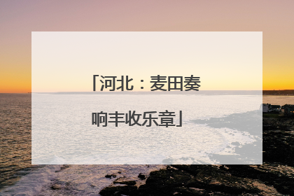 河北：麦田奏响丰收乐章