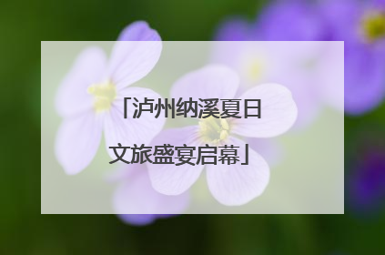 泸州纳溪夏日文旅盛宴启幕