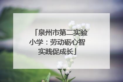 泉州市第二实验小学：劳动砺心智实践促成长