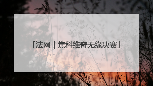 法网｜焦科维奇无缘决赛