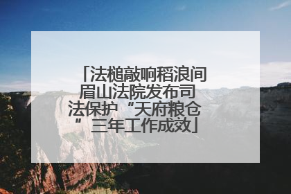 法槌敲响稻浪间 眉山法院发布司法保护“天府粮仓”三年工作成效