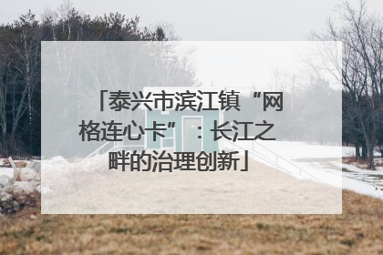 泰兴市滨江镇“网格连心卡”：长江之畔的治理创新