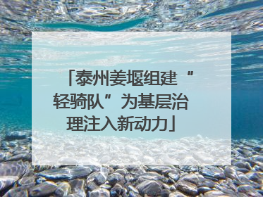 泰州姜堰组建“轻骑队”为基层治理注入新动力