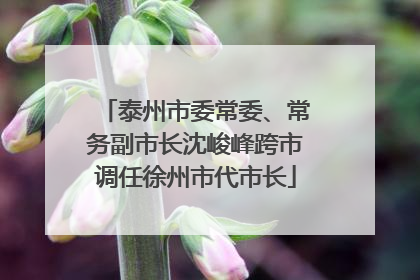 泰州市委常委、常务副市长沈峻峰跨市调任徐州市代市长