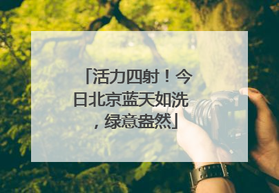活力四射！今日北京蓝天如洗，绿意盎然