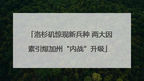 洛杉矶惊现新兵种 两大因素引爆加州“内战”升级