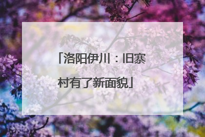 洛阳伊川：旧寨村有了新面貌