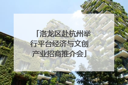 洛龙区赴杭州举行平台经济与文创产业招商推介会