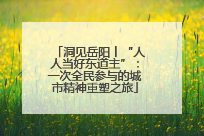 洞见岳阳丨“人人当好东道主”：一次全民参与的城市精神重塑之旅