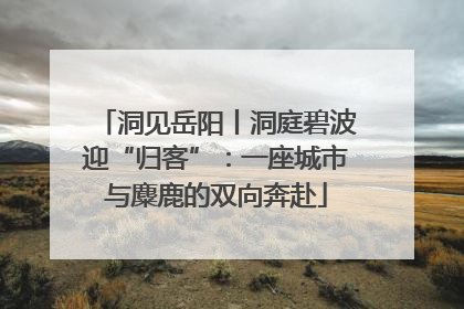 洞见岳阳丨洞庭碧波迎“归客”：一座城市与麋鹿的双向奔赴