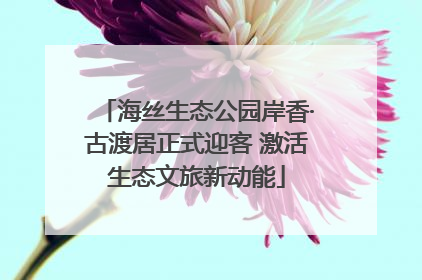海丝生态公园岸香·古渡居正式迎客 激活生态文旅新动能