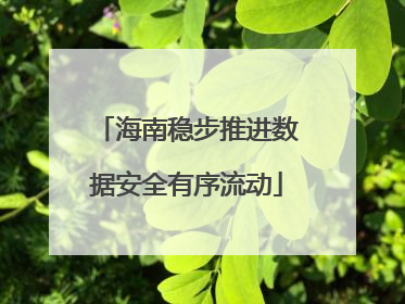 海南稳步推进数据安全有序流动