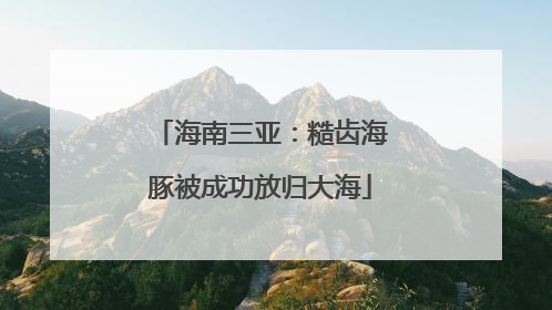 海南三亚：糙齿海豚被成功放归大海