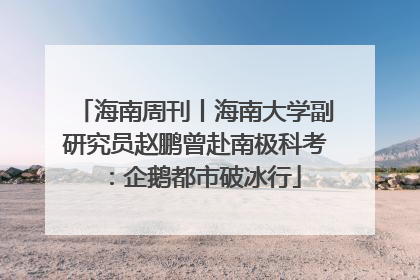 海南周刊丨海南大学副研究员赵鹏曾赴南极科考：企鹅都市破冰行