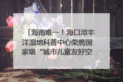 海南唯一！海口潭丰洋湿地科普中心荣膺国家级“城市儿童友好空间建设园区”称号