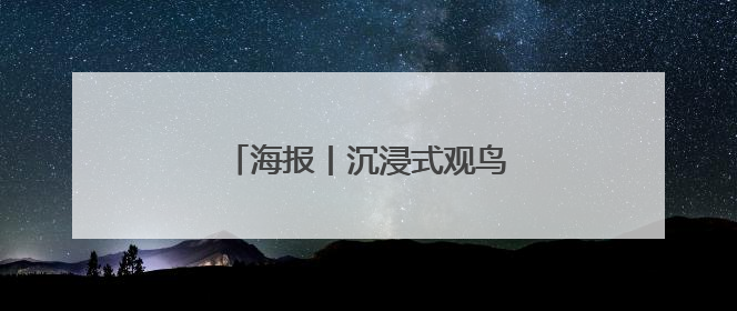 海报丨沉浸式观鸟！探寻飞羽精灵