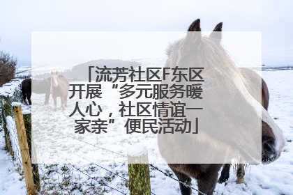 流芳社区F东区开展“多元服务暖人心，社区情谊一家亲”便民活动
