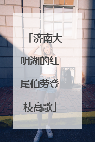 济南大明湖的红尾伯劳登枝高歌