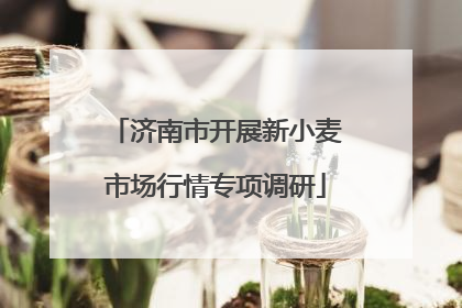 济南市开展新小麦市场行情专项调研