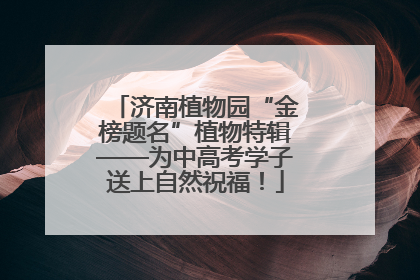 济南植物园“金榜题名”植物特辑——为中高考学子送上自然祝福！