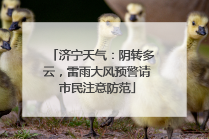 济宁天气：阴转多云，雷雨大风预警请市民注意防范