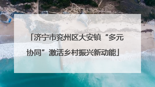 济宁市兖州区大安镇“多元协同”激活乡村振兴新动能